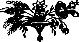 055/055240050001140_0.png