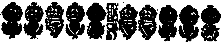 055/055240120000180_1.png