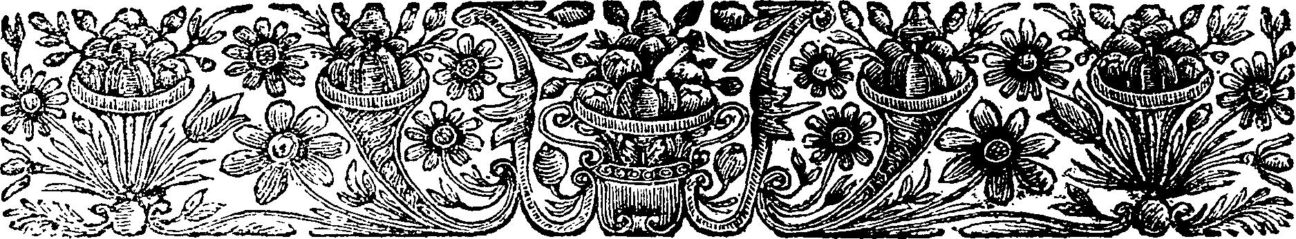 055/055250030000250_1.png