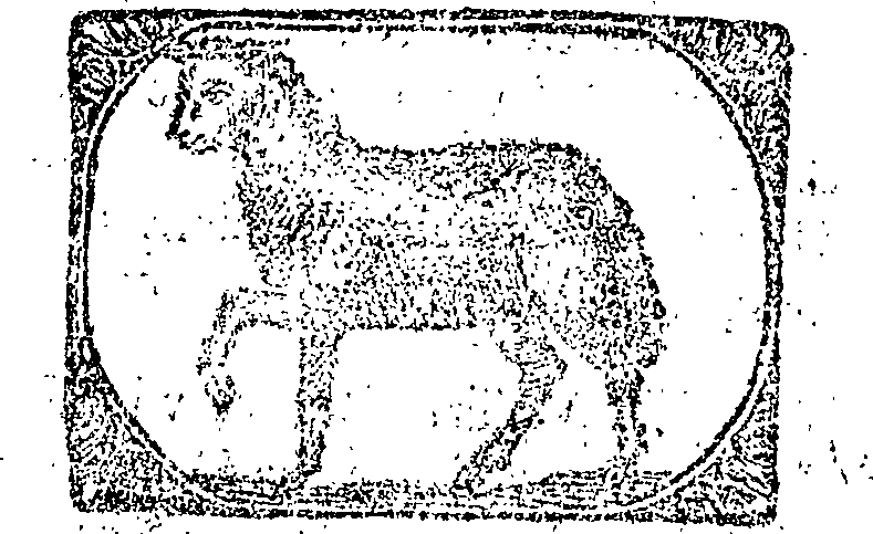055/055260030000010_0.png