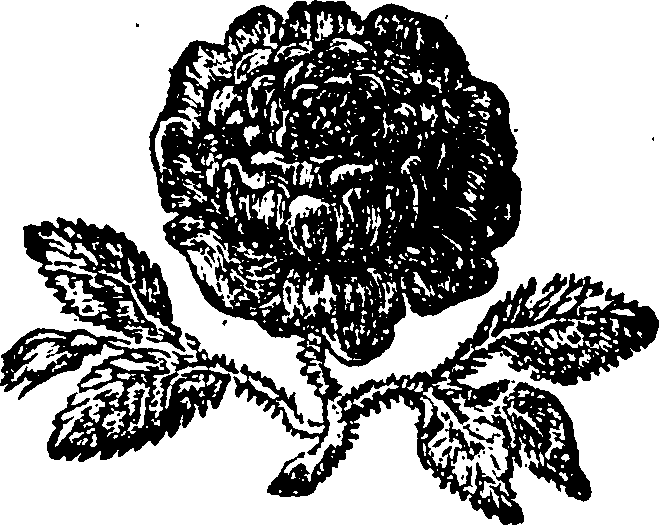 055/055270070000240_0.png