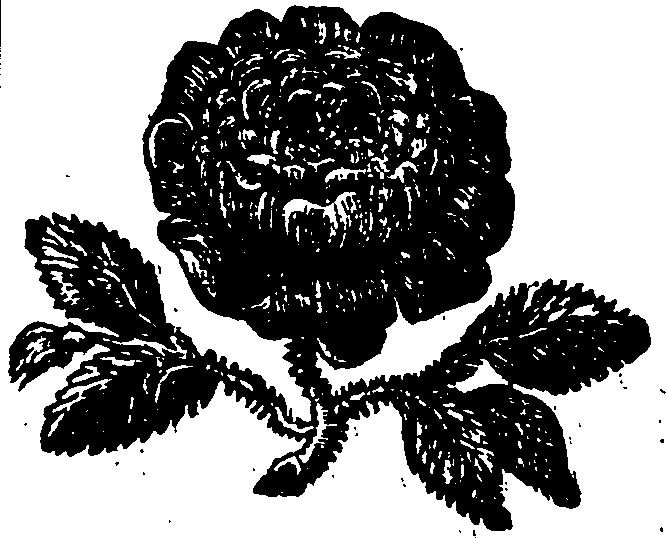 055/055270070001530_0.png