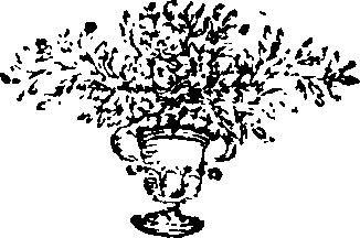 055/055280080102360_0.png