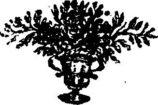 055/055280080104110_0.png