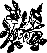 055/055300030100480_0.png