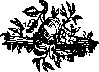 055/055300030100830_0.png