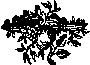 055/055300030102180_0.png