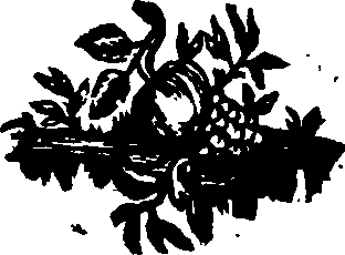 055/055300030200290_0.png