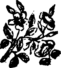 055/055300030200380_0.png