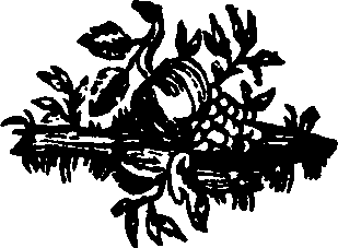 055/055300030201060_0.png