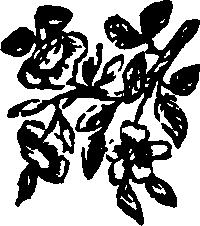 055/055300030201510_0.png