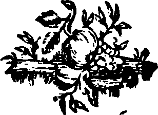 055/055300030202570_0.png