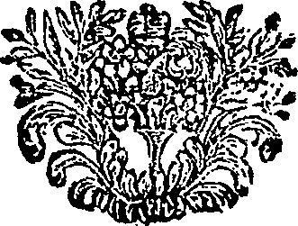 055/055310350000010_0.png