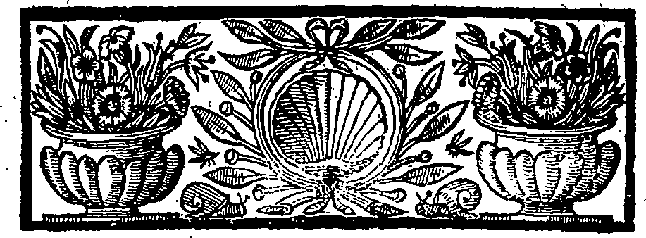 055/055310390000020_1.png