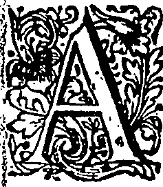 055/055320270000220_1.png