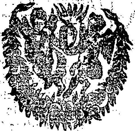 055/055320270000570_0.png