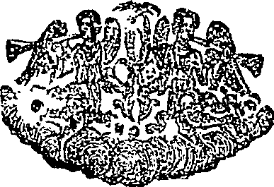 055/055320270001290_0.png