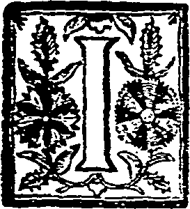 055/055320270001300_0.png