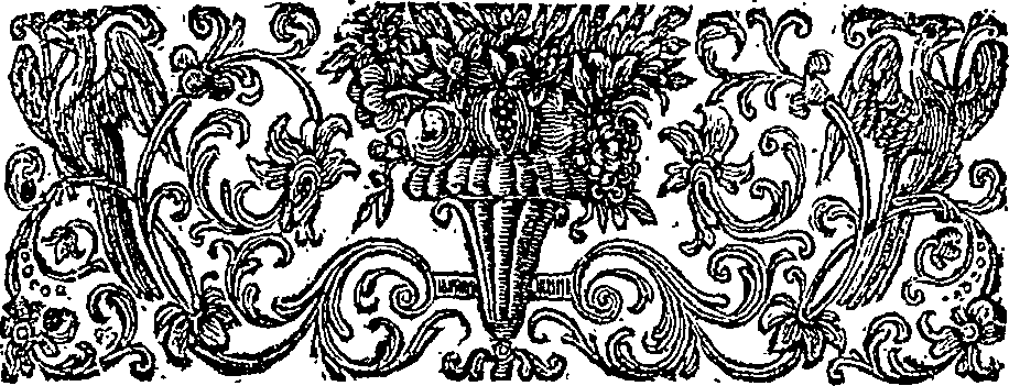055/055350080000040_1.png