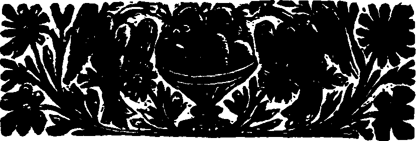 055/055370030000040_1.png