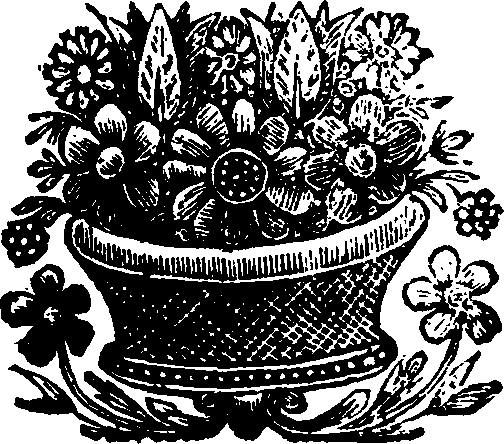 055/055370050202590_0.png