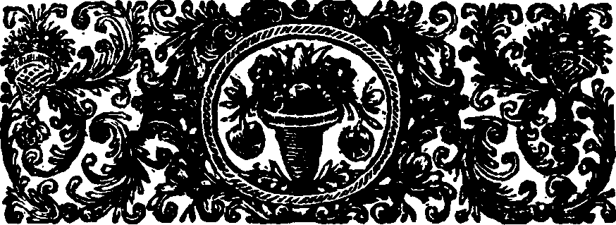 055/055370050202870_1.png