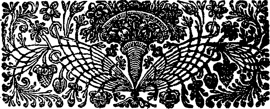055/055390040000020_1.png