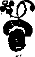 055/055420060000240_0.png