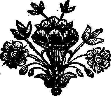 055/055420270000010_0.png