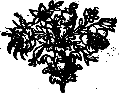 055/055510030000260_0.png