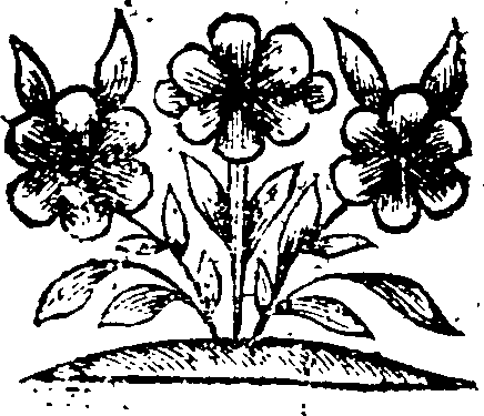 055/055520120000940_0.png