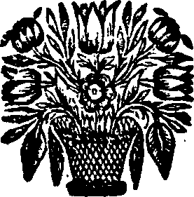 055/055540020201990_0.png