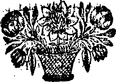 055/055540020204640_0.png