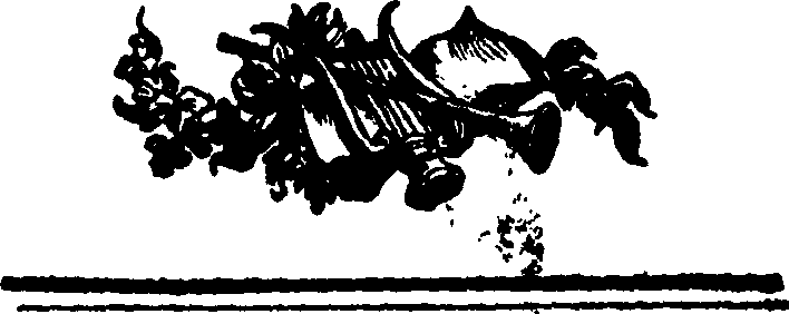 055/055560160000010_0.png