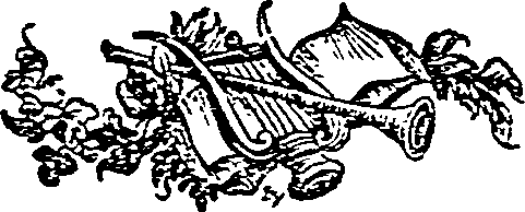 055/055580380000140_0.png