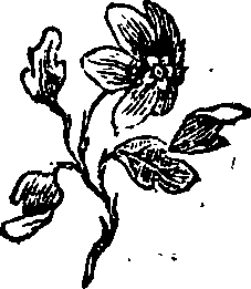 055/055590460000010_0.png