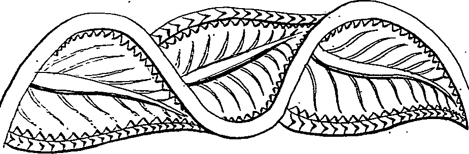 055/055610040005510_1.png