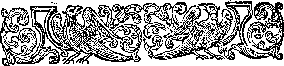 055/055620010300080_1.png