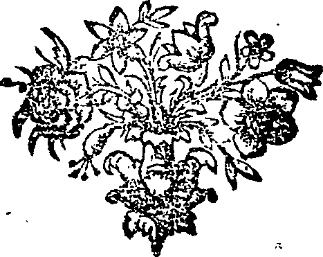 055/055630050000010_0.png