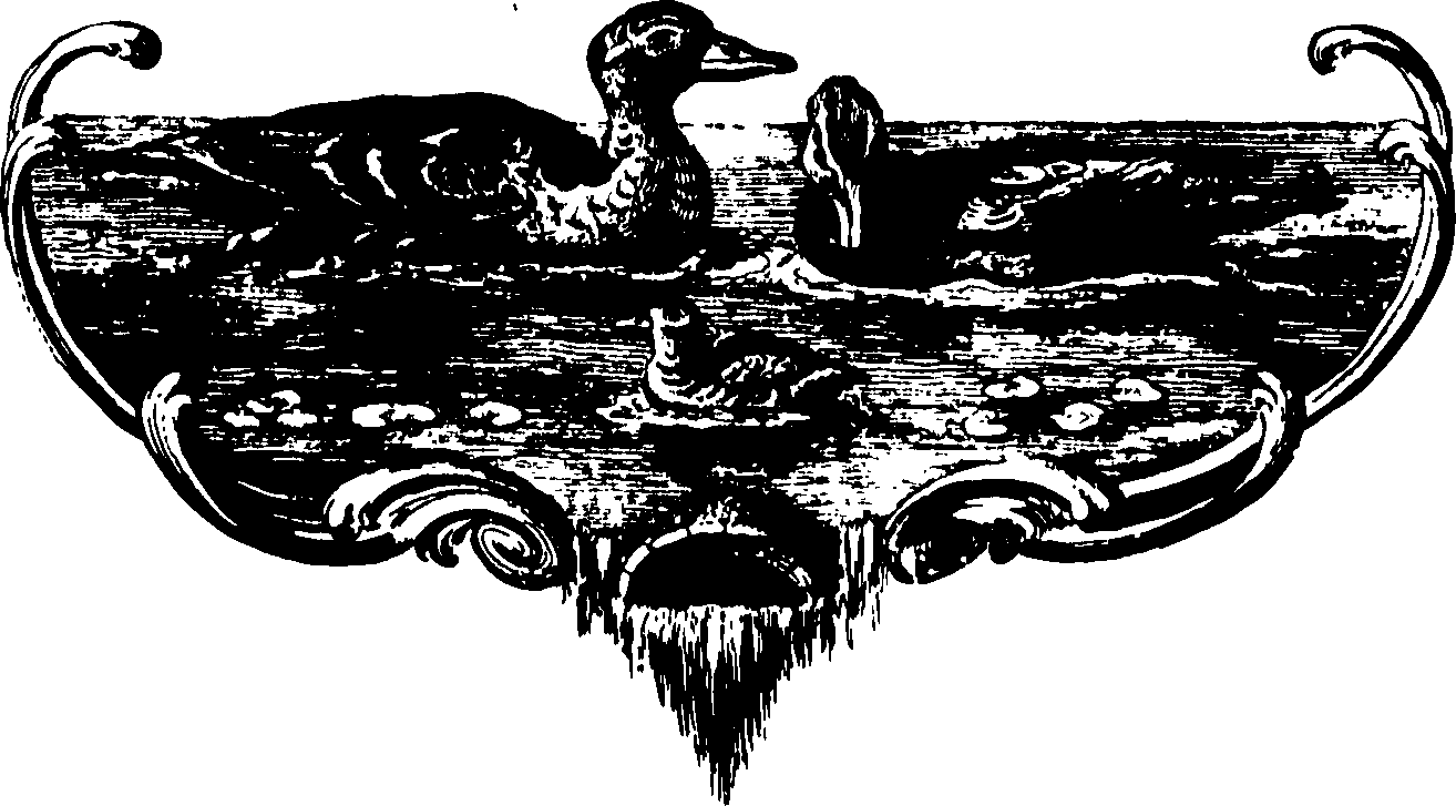 055/055820070001300_0.png