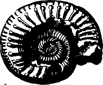 055/055820070001370_1.png