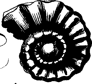 055/055820070001370_2.png