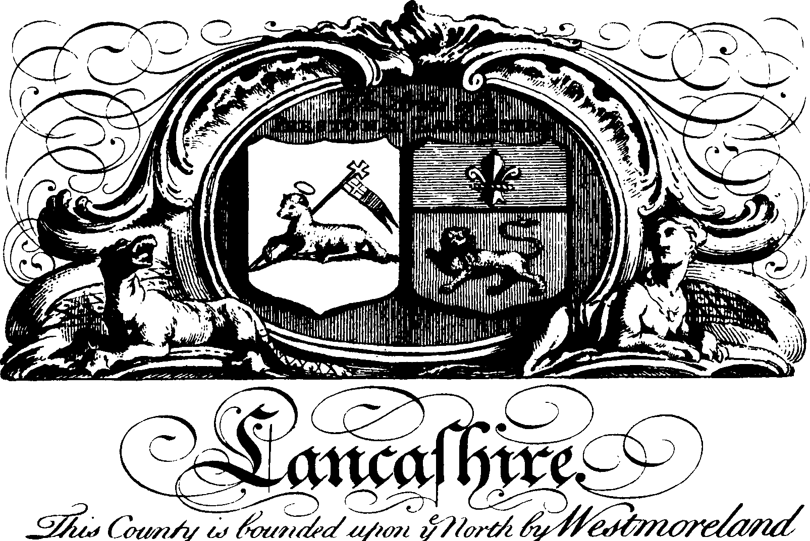 055/055820070001970_0.png