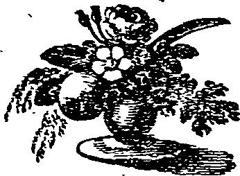 055/055830040000800_0.png
