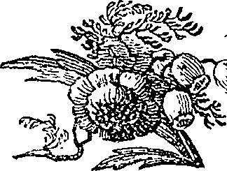 055/055830040000910_0.png