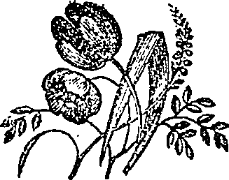 055/055830040001610_0.png