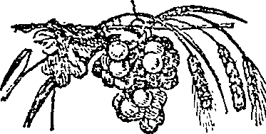 055/055830040001760_0.png