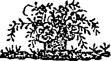 055/055830040001910_0.png