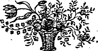 055/055830040001990_0.png