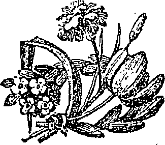 055/055830040002270_0.png